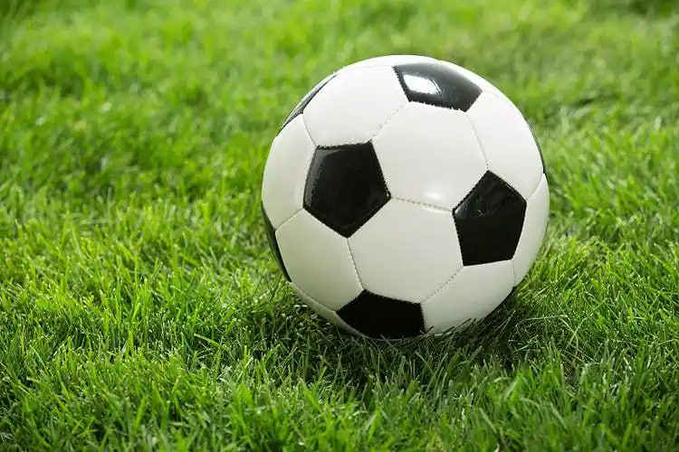 足球赛事研究者使用场景